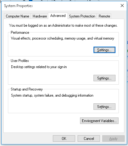Figure 2 environment variable