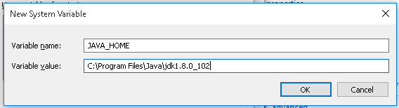Figure 3 Java environment variable